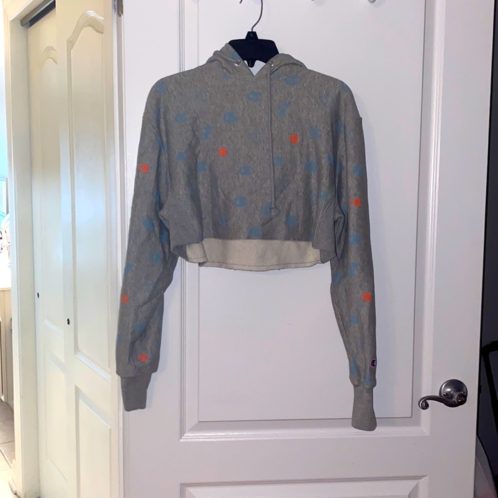 champion cropped hoodie